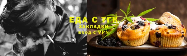 стаф Гусь-Хрустальный