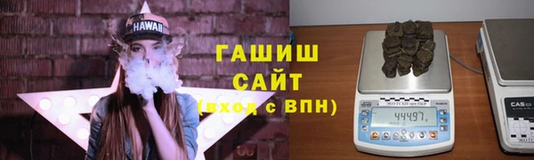 стаф Гусь-Хрустальный