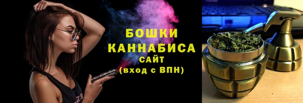 дурь Гусиноозёрск