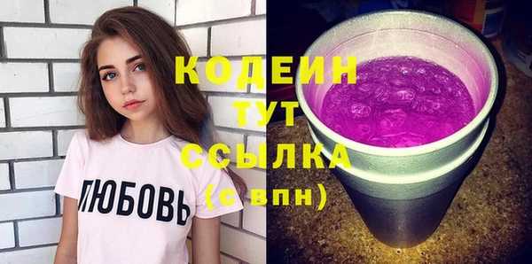 стаф Гусь-Хрустальный
