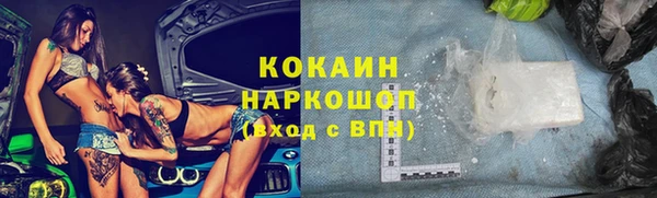 стаф Гусь-Хрустальный