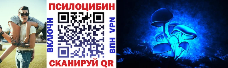 Галлюциногенные грибы GOLDEN TEACHER  Купить где  Устюжна 